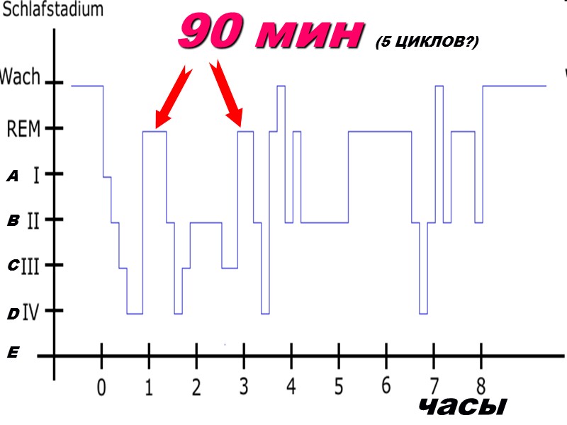 90 мин (5 ЦИКЛОВ?) часы A B С D E